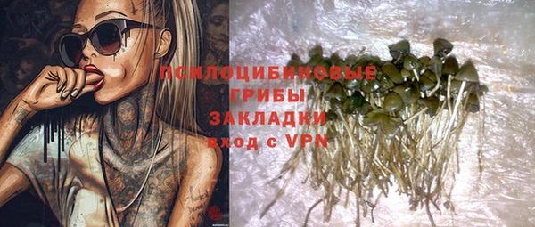 альфа пвп Армянск