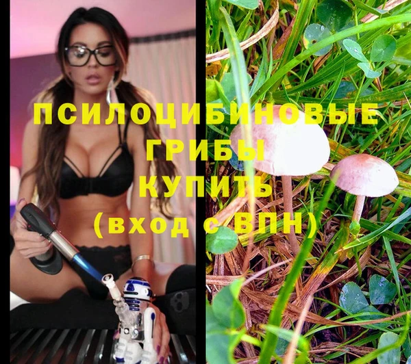 скорость Аркадак